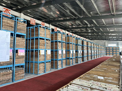 山東黃金探明國(guó)內(nèi)最大單體金礦床，交出高質(zhì)量發(fā)展新答卷